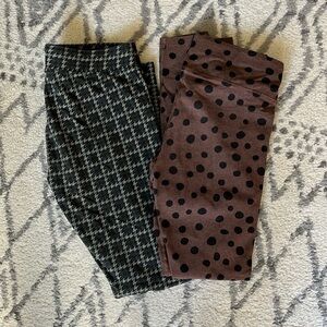 Pact Organic leggings bundle